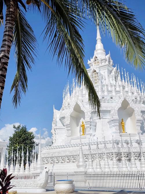 西双版纳哪些景点最值得玩?-第1张图片-星月文旅 西双版纳哪些景点最值得玩?-第1张图片-星月文旅