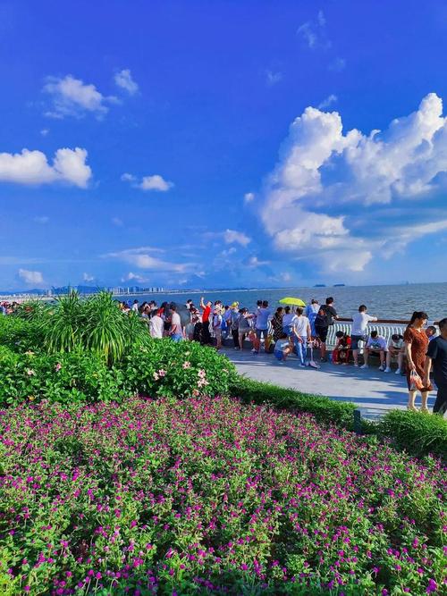 东莞周边哪些海边景点值得一去？-第3张图片-星月文旅