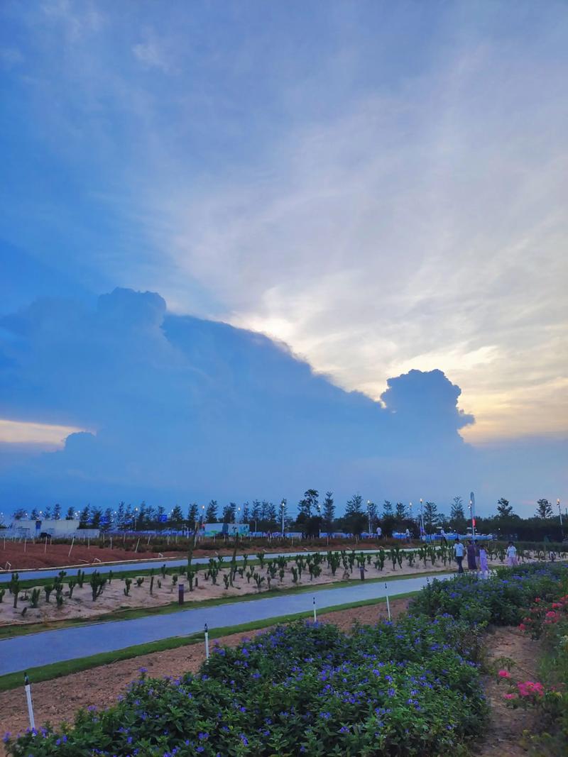 东莞周边哪些海边景点值得一去？-第1张图片-星月文旅