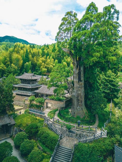 浙江丽水有哪些必打卡的好玩景点？-第1张图片-星月文旅