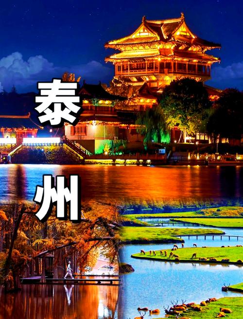 泰州旅游攻略有哪些必打卡景点？-第3张图片-星月文旅