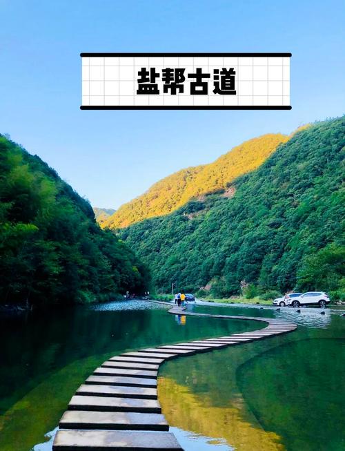 上海元旦周边自驾游去哪玩?-第1张图片-星月文旅 上海元旦周边自驾游去哪玩?-第1张图片-星月文旅