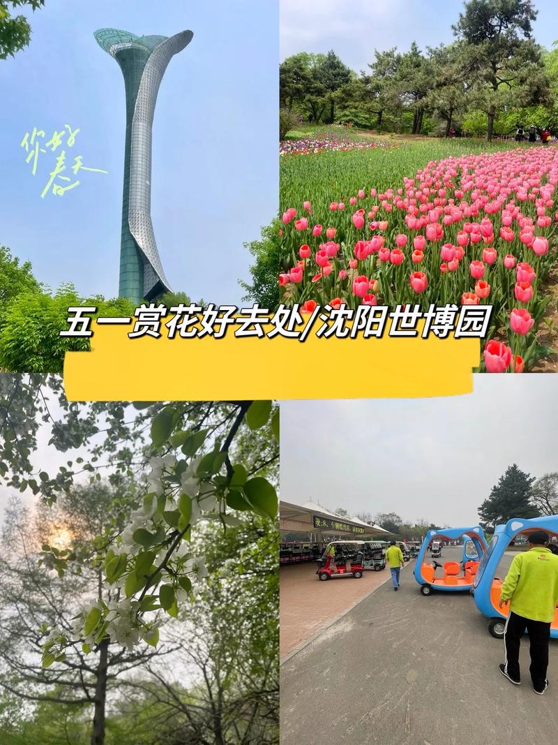 沈阳世博园旅游旅游攻略-第3张图片-星月文旅