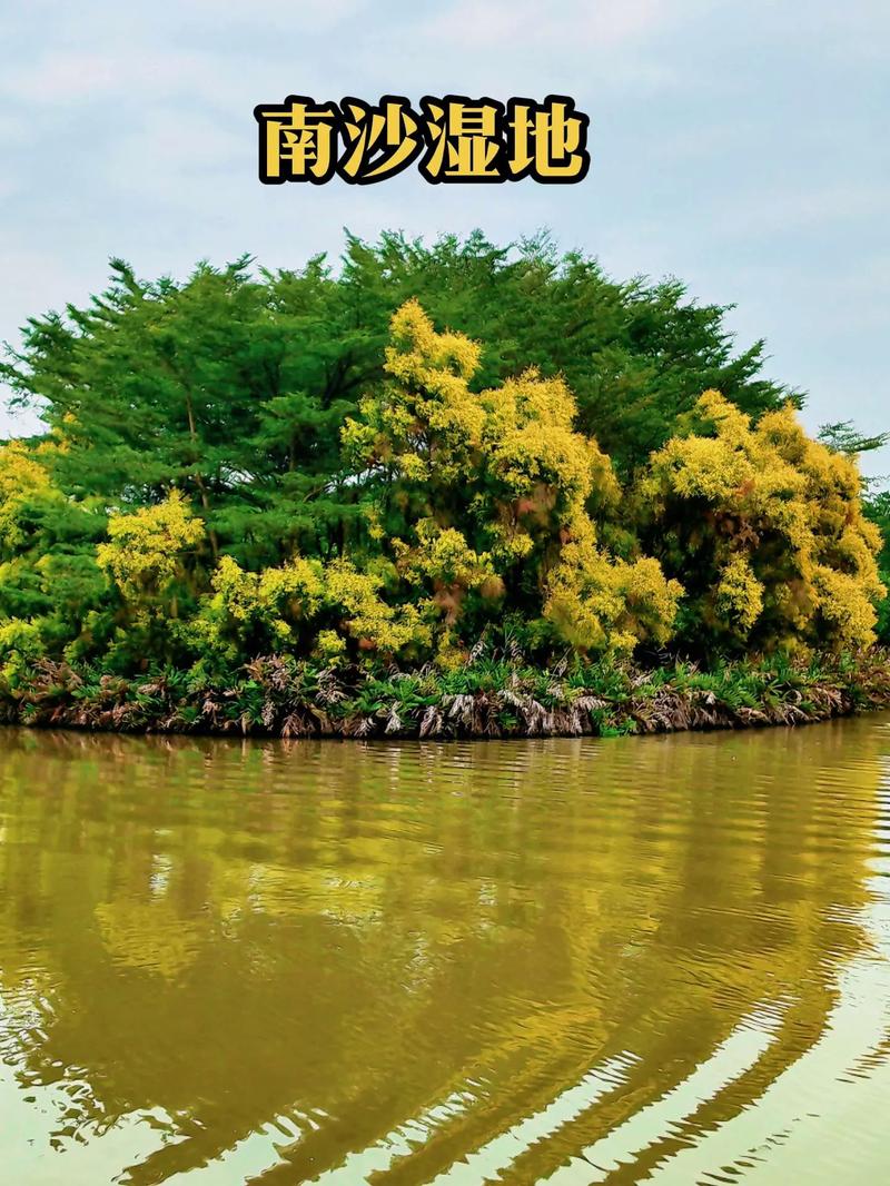 南沙湿地景区有哪些必游景点?-第3张图片-星月文旅 南沙湿地景区有哪些必游景点?-第3张图片-星月文旅