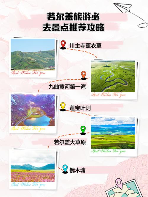 若尔盖跟团游怎么选?攻略必看要点有哪些?-第1张图片-星月文旅 若尔盖跟团游怎么选?攻略必看要点有哪些?-第1张图片-星月文旅