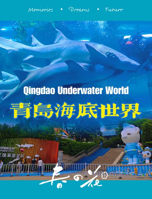 青岛海底世界自驾游怎么玩最尽兴？-第2张图片-星月文旅