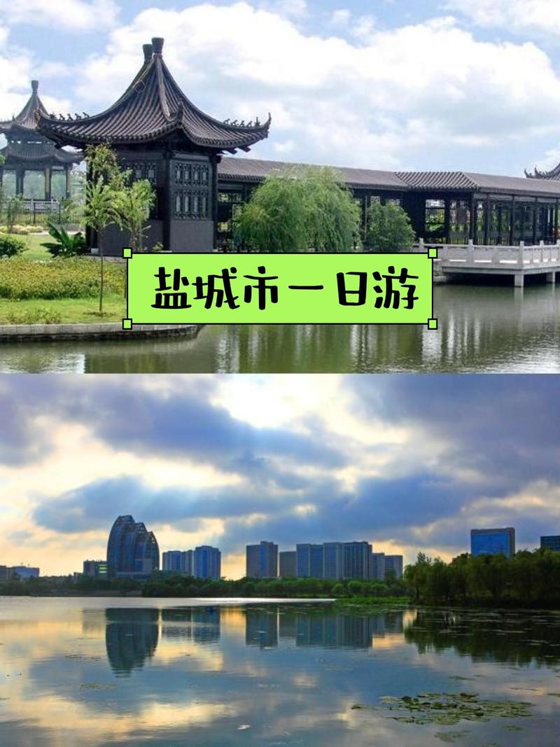 盐城亲子游必去景点有哪些?-第1张图片-星月文旅 盐城亲子游必去景点有哪些?-第1张图片-星月文旅