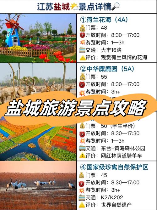 盐城亲子游必去景点有哪些？-第2张图片-星月文旅