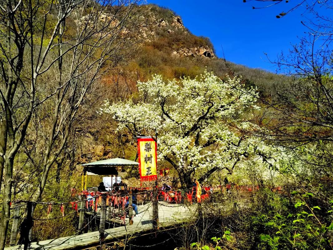 蓟县梨木台旅游怎么玩？-第2张图片-星月文旅