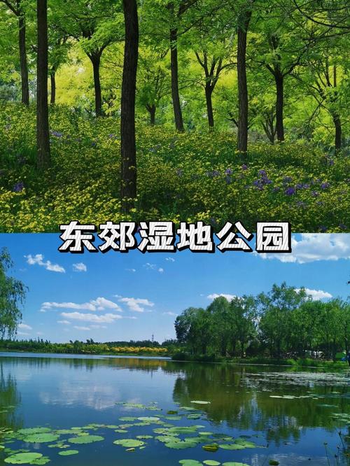 顺义旅游景点哪些最值得去?-第3张图片-星月文旅 顺义旅游景点哪些最值得去?-第3张图片-星月文旅