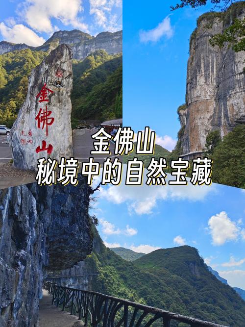重庆金佛山旅游攻略有哪些必玩?-第1张图片-星月文旅 重庆金佛山旅游攻略有哪些必玩?-第1张图片-星月文旅