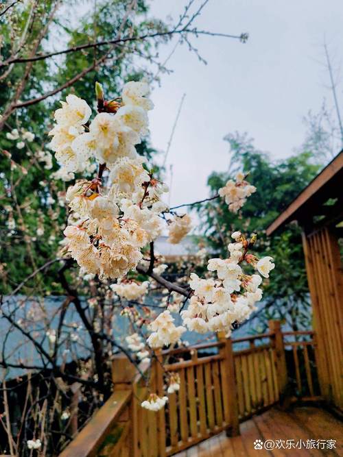 樱桃山旅游攻略怎么玩最尽兴？-第3张图片-星月文旅