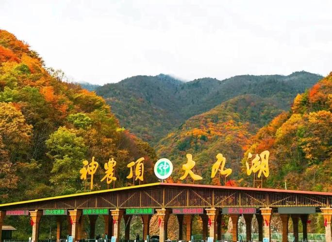 宜昌到神农架自驾怎么走？-第3张图片-星月文旅