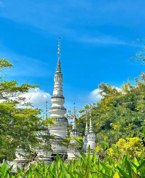 冬天去西双版纳必去哪些景点？-第2张图片-星月文旅