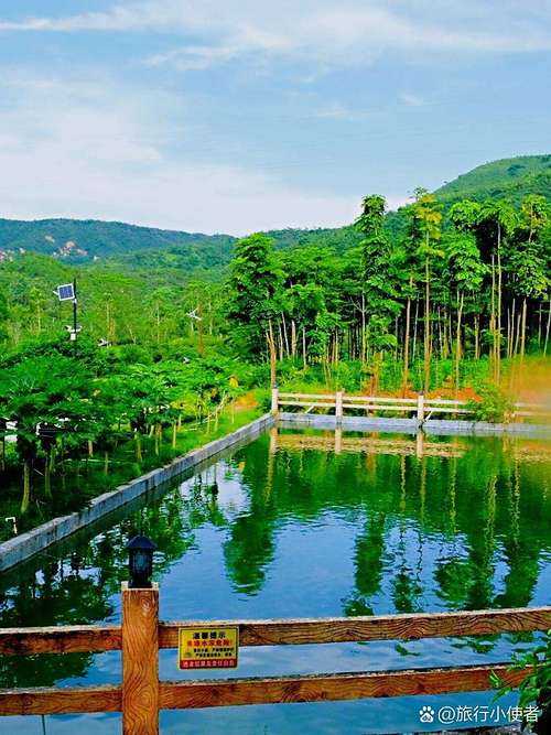 新会自由行怎么玩？必去景点和路线推荐-第1张图片-星月文旅