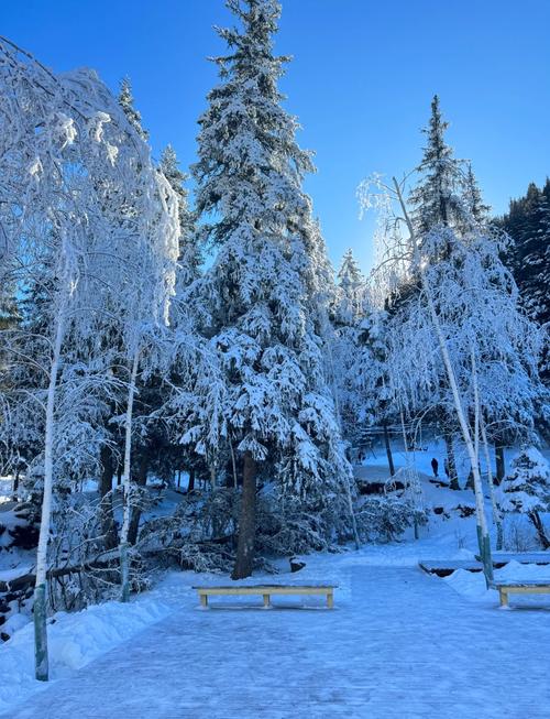 乌鲁木齐冬天有哪些必游景点？-第1张图片-星月文旅