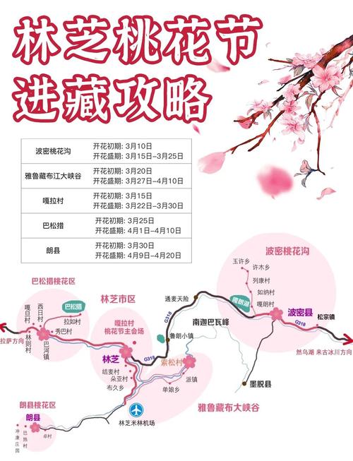 冬天林芝怎么玩？有哪些必打卡景点？-第1张图片-星月文旅