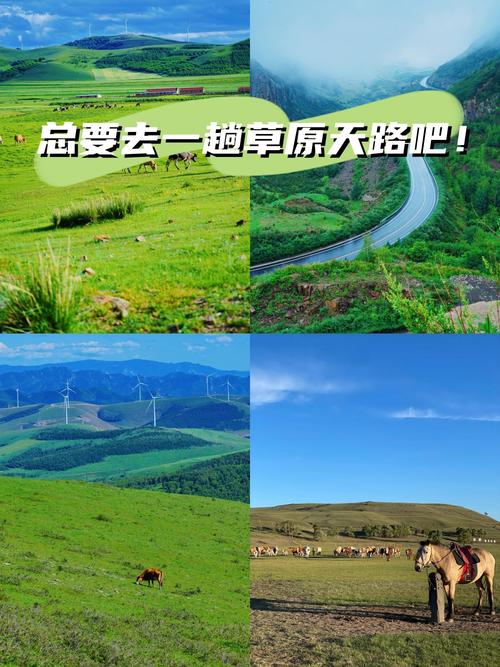 石家庄到张北草原自驾游路线怎么走?-第2张图片-星月文旅 石家庄到张北草原自驾游路线怎么走?-第2张图片-星月文旅