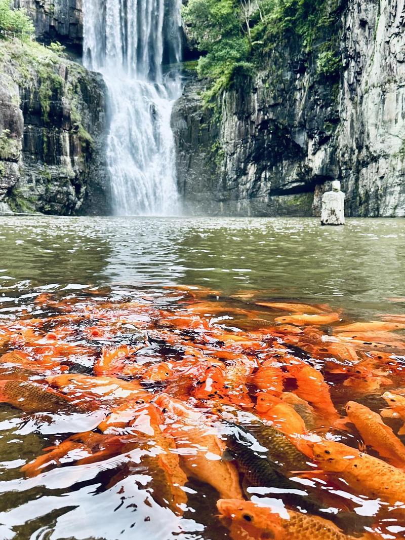 温州周边自驾游去哪儿玩？-第3张图片-星月文旅