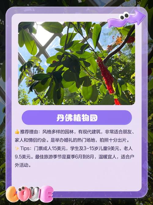 Danang怎么玩才最地道？-第3张图片-星月文旅