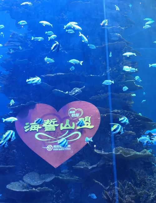 青岛海底世界自驾游二日怎么安排？-第2张图片-星月文旅