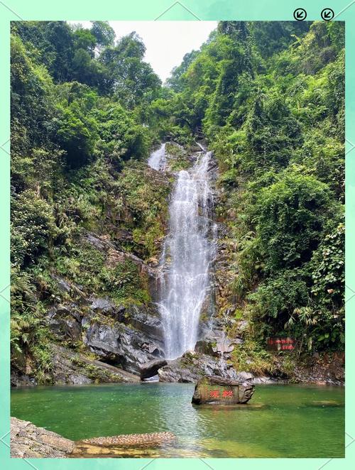 肇庆有哪些必游景点好玩?-第3张图片-星月文旅 肇庆有哪些必游景点好玩?-第3张图片-星月文旅