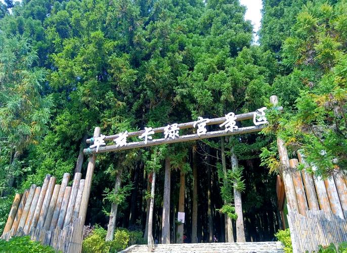 石柱黄水森林公园自驾怎么玩最尽兴？-第1张图片-星月文旅