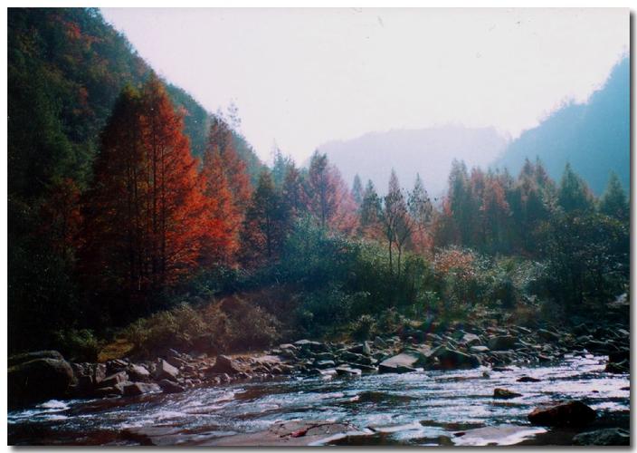 石柱黄水森林公园自驾怎么玩最尽兴？-第2张图片-星月文旅