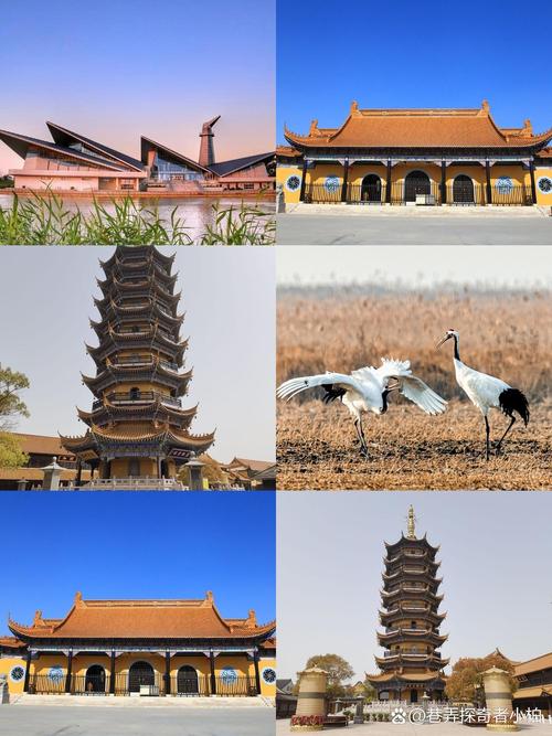 盐城有哪些值得一游的景点？-第3张图片-星月文旅