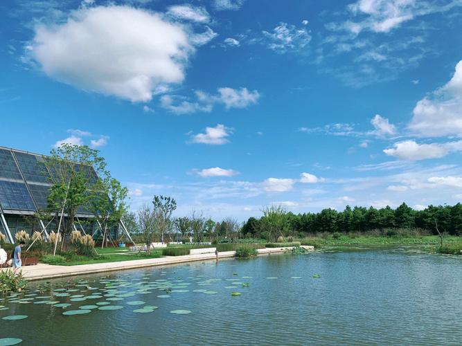 东滩湿地公园自驾游团购怎么最划算？-第1张图片-星月文旅