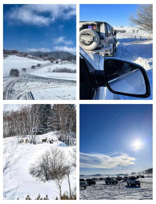 冬季北京周边自驾游,去哪玩最合适?-第2张图片-星月文旅 冬季北京周边自驾游,去哪玩最合适?-第2张图片-星月文旅