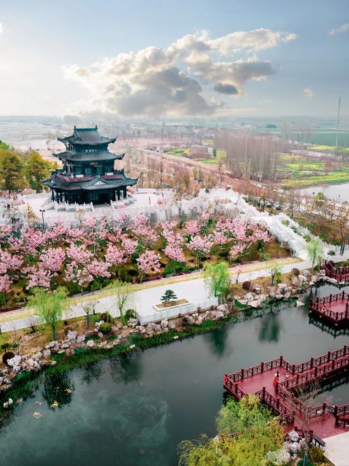 盐城必打卡景点有哪些？-第1张图片-星月文旅