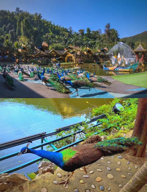 宜宾到西双版纳自驾游怎么规划路线？-第2张图片-星月文旅