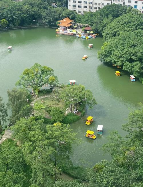 中山哪里有好玩的旅游景点-第2张图片-星月文旅