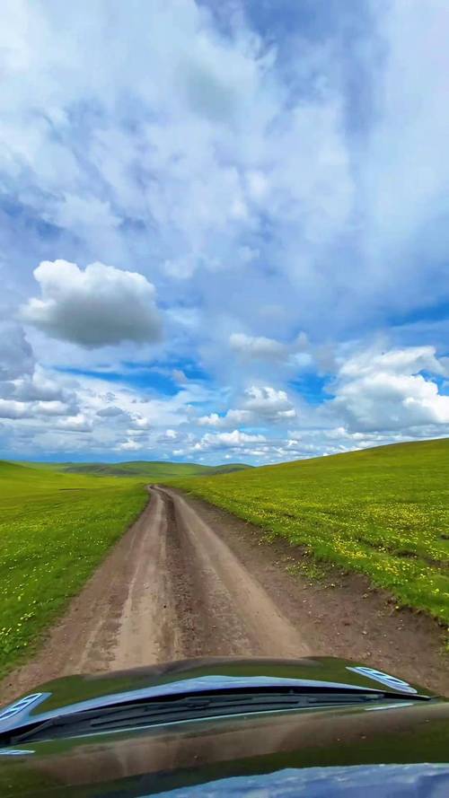 自驾游 呼伦贝尔大草原-第3张图片-星月文旅