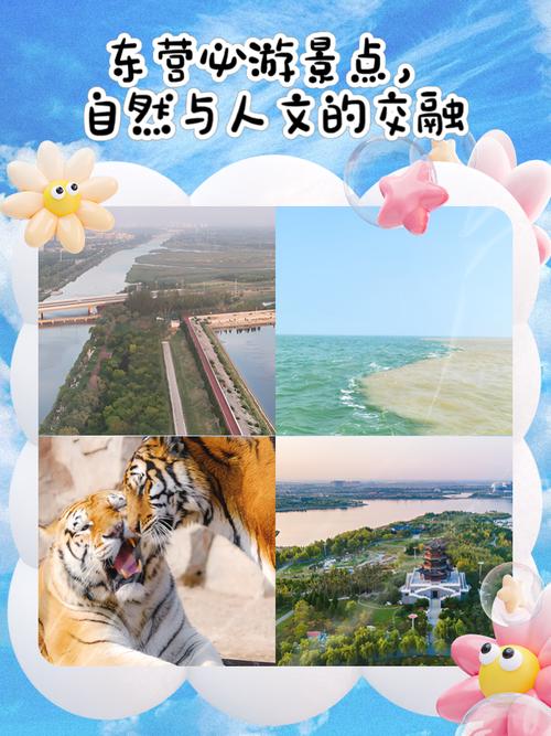 东营有哪些必打卡旅游景点?-第1张图片-星月文旅 东营有哪些必打卡旅游景点?-第1张图片-星月文旅