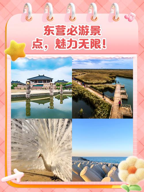 东营有哪些必打卡旅游景点?-第2张图片-星月文旅 东营有哪些必打卡旅游景点?-第2张图片-星月文旅