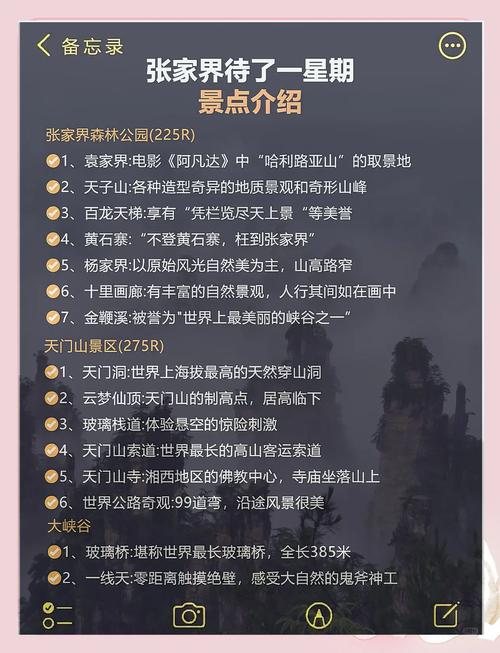 天门山森林公园怎么玩最尽兴？-第1张图片-星月文旅