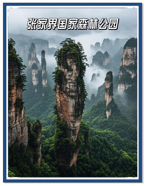 张家界旅游景点图片有哪些必看？-第3张图片-星月文旅