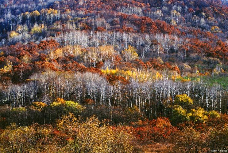 鹤岗周边自驾游有哪些必打卡景点？-第3张图片-星月文旅