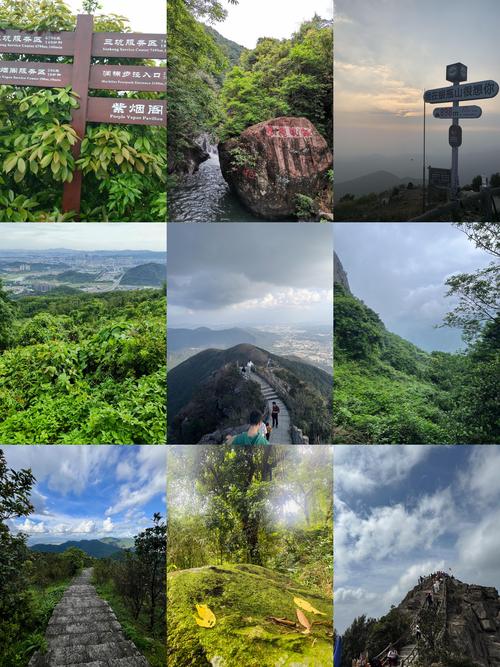 东莞一日自驾游景点推荐-第1张图片-星月文旅