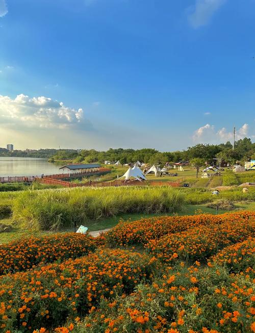 广州白云区旅游景点大全-第1张图片-星月文旅