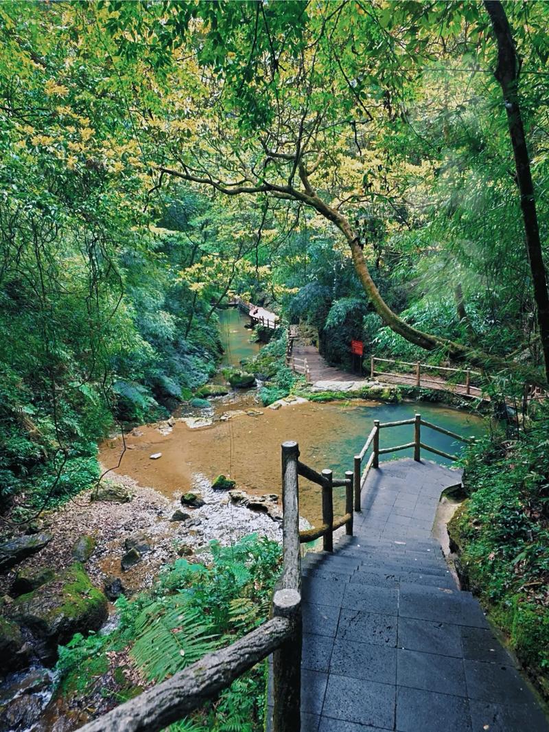 重庆黑山谷自驾怎么玩?攻略有哪些必去?-第1张图片-星月文旅 重庆黑山谷自驾怎么玩?攻略有哪些必去?-第1张图片-星月文旅