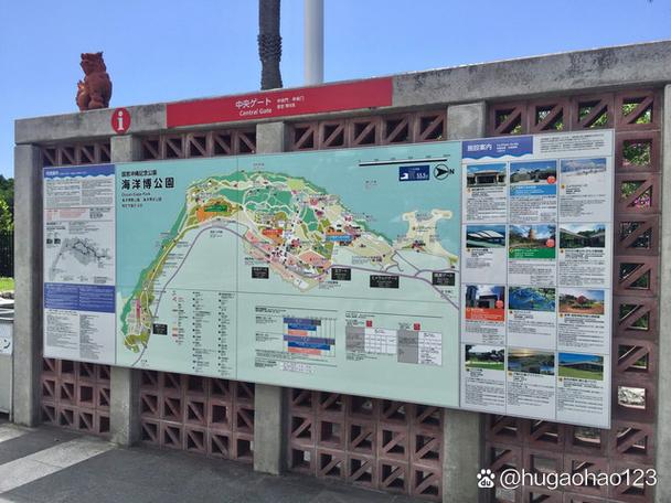 冲绳海洋博公园怎么玩最尽兴?-第1张图片-星月文旅 冲绳海洋博公园怎么玩最尽兴?-第1张图片-星月文旅