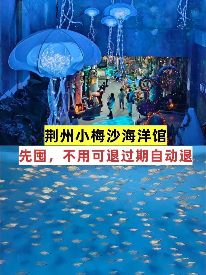 小梅沙海洋世界怎么玩最尽兴？-第2张图片-星月文旅