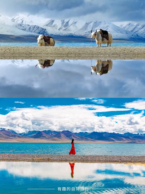 西藏自驾游需要准备什么-第1张图片-星月文旅