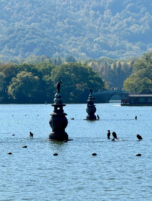 杭州西湖附近的旅游景点-第2张图片-星月文旅