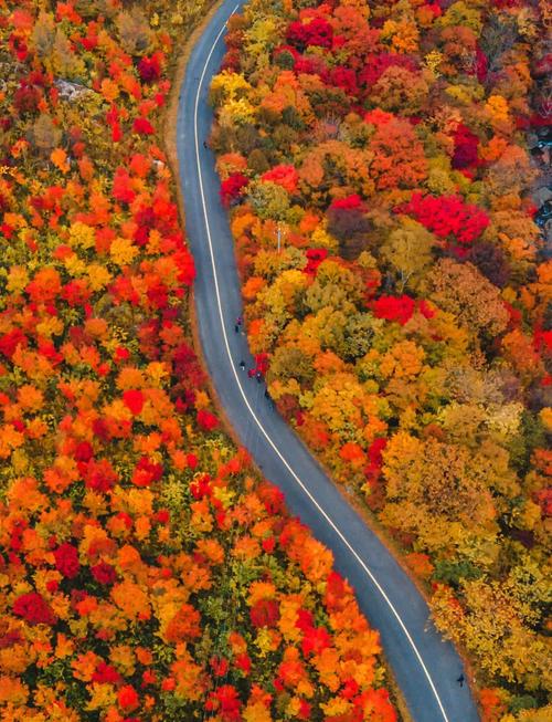 国内旅游景点推荐10月-第1张图片-星月文旅 国内旅游景点推荐10月-第1张图片-星月文旅