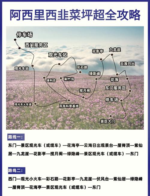 草原自驾游路线有哪些推荐?-第1张图片-星月文旅 草原自驾游路线有哪些推荐?-第1张图片-星月文旅