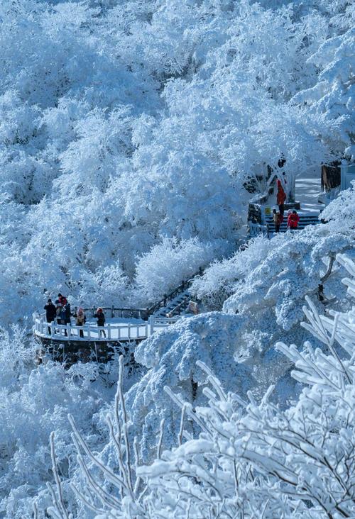 国内冬季去哪玩？有哪些景点值得推荐？-第1张图片-星月文旅